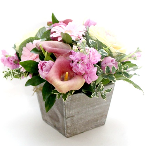 foxgloves flowers victoria bc florist vintage - Our Online Flower Shop | Victoria BC