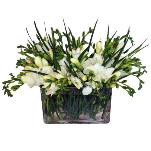 foxgloves flowers victoria bc florist freesia - Freesia