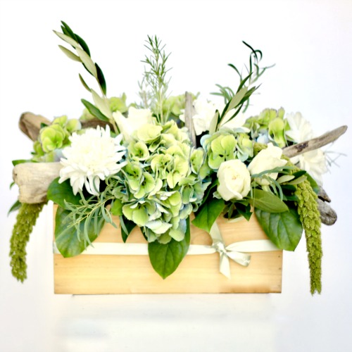 foxgloves flowers victoria bc florist westcoast garden - West Coast Garden