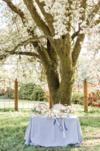 UNADJUSTEDNONRAW thumb 5f96 200x300 - Bilston Creek Shoot