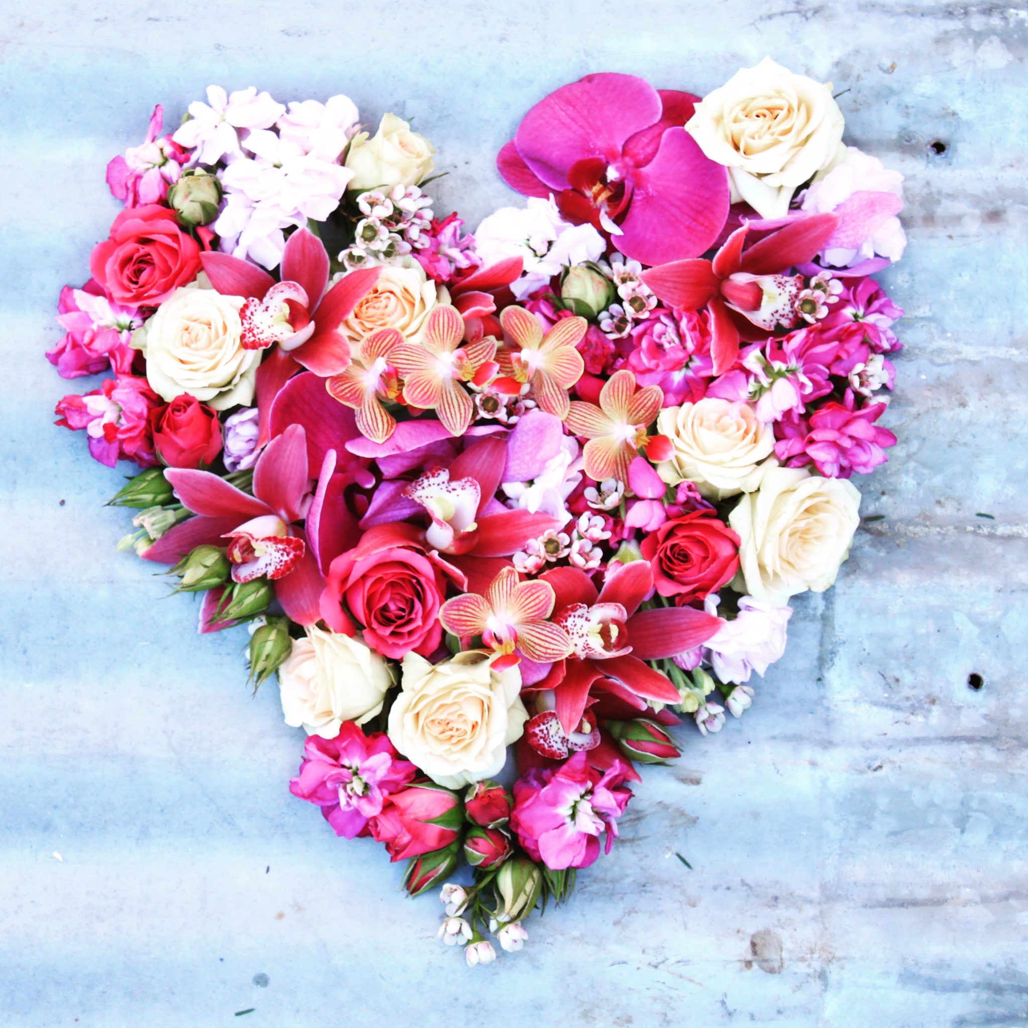 Feel the Love Foxgloves Flowers