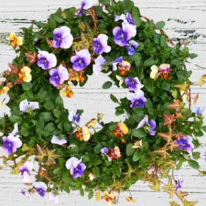 pansy and ivy wreath 300x300 - Floral Design Classes