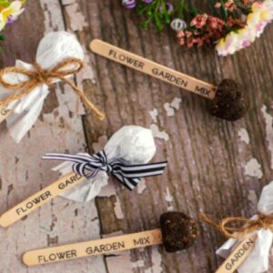 seed bombs 300x300 - Floral Design Classes