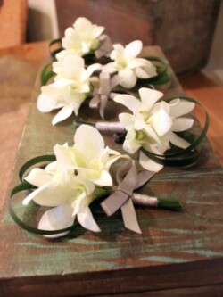 Boutonnieres, Corsages & Hair Blooms svg+xml,%3Csvg%20xmlns%3D%22http%3A%2F%2Fwww.w3 - Boutonnieres, Corsages & Hair Blooms