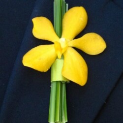 Boutonnieres, Corsages & Hair Blooms svg+xml,%3Csvg%20xmlns%3D%22http%3A%2F%2Fwww.w3 - Boutonnieres, Corsages & Hair Blooms