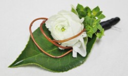 Boutonnieres, Corsages & Hair Blooms svg+xml,%3Csvg%20xmlns%3D%22http%3A%2F%2Fwww.w3 - Boutonnieres, Corsages & Hair Blooms