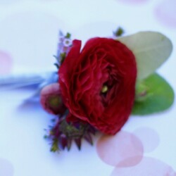 Boutonnieres, Corsages & Hair Blooms svg+xml,%3Csvg%20xmlns%3D%22http%3A%2F%2Fwww.w3 - Boutonnieres, Corsages & Hair Blooms