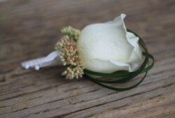 Boutonnieres, Corsages & Hair Blooms svg+xml,%3Csvg%20xmlns%3D%22http%3A%2F%2Fwww.w3 - Boutonnieres, Corsages & Hair Blooms