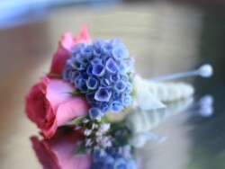 Boutonnieres, Corsages & Hair Blooms svg+xml,%3Csvg%20xmlns%3D%22http%3A%2F%2Fwww.w3 - Boutonnieres, Corsages & Hair Blooms