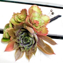 Boutonnieres, Corsages & Hair Blooms svg+xml,%3Csvg%20xmlns%3D%22http%3A%2F%2Fwww.w3 - Boutonnieres, Corsages & Hair Blooms