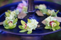 Boutonnieres, Corsages & Hair Blooms svg+xml,%3Csvg%20xmlns%3D%22http%3A%2F%2Fwww.w3 - Boutonnieres, Corsages & Hair Blooms