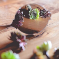 Boutonnieres, Corsages & Hair Blooms svg+xml,%3Csvg%20xmlns%3D%22http%3A%2F%2Fwww.w3 - Boutonnieres, Corsages & Hair Blooms