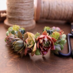 Boutonnieres, Corsages & Hair Blooms svg+xml,%3Csvg%20xmlns%3D%22http%3A%2F%2Fwww.w3 - Boutonnieres, Corsages & Hair Blooms