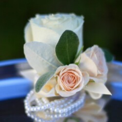 Boutonnieres, Corsages & Hair Blooms svg+xml,%3Csvg%20xmlns%3D%22http%3A%2F%2Fwww.w3 - Boutonnieres, Corsages & Hair Blooms