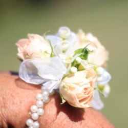 Boutonnieres, Corsages & Hair Blooms svg+xml,%3Csvg%20xmlns%3D%22http%3A%2F%2Fwww.w3 - Boutonnieres, Corsages & Hair Blooms