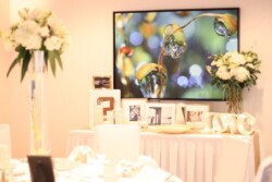 Event Decor & Ambience svg+xml,%3Csvg%20xmlns%3D%22http%3A%2F%2Fwww.w3 - Event Decor & Ambience