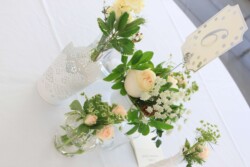 Event Decor & Ambience svg+xml,%3Csvg%20xmlns%3D%22http%3A%2F%2Fwww.w3 - Event Decor & Ambience