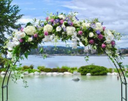 Event Decor & Ambience svg+xml,%3Csvg%20xmlns%3D%22http%3A%2F%2Fwww.w3 - Event Decor & Ambience