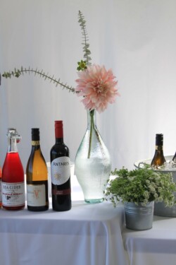 Event Decor & Ambience svg+xml,%3Csvg%20xmlns%3D%22http%3A%2F%2Fwww.w3 - Event Decor & Ambience