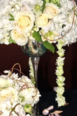 Event Decor & Ambience svg+xml,%3Csvg%20xmlns%3D%22http%3A%2F%2Fwww.w3 - Event Decor & Ambience