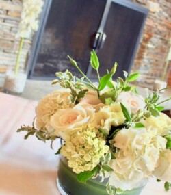 Event Decor & Ambience svg+xml,%3Csvg%20xmlns%3D%22http%3A%2F%2Fwww.w3 - Event Decor & Ambience