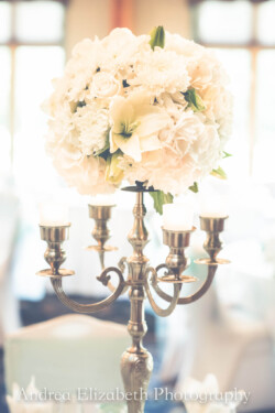 Event Decor & Ambience svg+xml,%3Csvg%20xmlns%3D%22http%3A%2F%2Fwww.w3 - Event Decor & Ambience