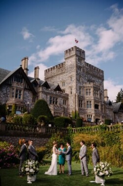 Event Decor & Ambience svg+xml,%3Csvg%20xmlns%3D%22http%3A%2F%2Fwww.w3 - Event Decor & Ambience