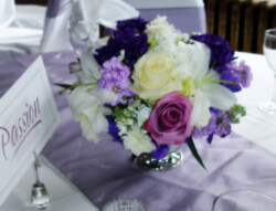 Event Decor & Ambience svg+xml,%3Csvg%20xmlns%3D%22http%3A%2F%2Fwww.w3 - Event Decor & Ambience