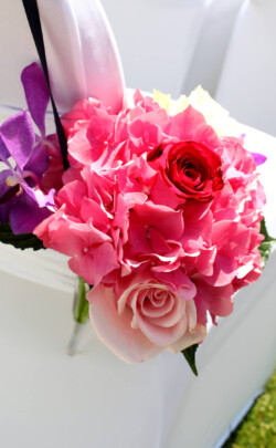 Event Decor & Ambience svg+xml,%3Csvg%20xmlns%3D%22http%3A%2F%2Fwww.w3 - Event Decor & Ambience