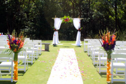 Event Decor & Ambience svg+xml,%3Csvg%20xmlns%3D%22http%3A%2F%2Fwww.w3 - Event Decor & Ambience