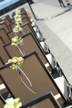 Event Decor & Ambience svg+xml,%3Csvg%20xmlns%3D%22http%3A%2F%2Fwww.w3 - Event Decor & Ambience