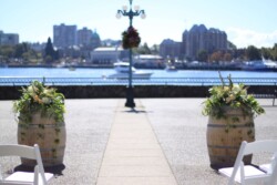 Event Decor & Ambience svg+xml,%3Csvg%20xmlns%3D%22http%3A%2F%2Fwww.w3 - Event Decor & Ambience