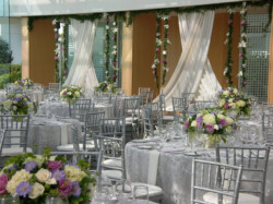 Event Decor & Ambience svg+xml,%3Csvg%20xmlns%3D%22http%3A%2F%2Fwww.w3 - Event Decor & Ambience