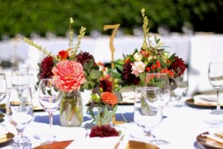 Event Decor & Ambience svg+xml,%3Csvg%20xmlns%3D%22http%3A%2F%2Fwww.w3 - Event Decor & Ambience