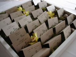 Event Decor & Ambience svg+xml,%3Csvg%20xmlns%3D%22http%3A%2F%2Fwww.w3 - Event Decor & Ambience