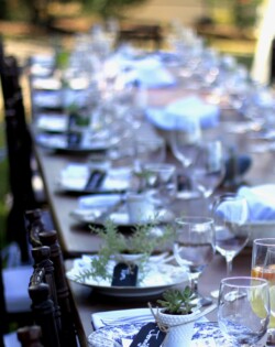 Event Decor & Ambience svg+xml,%3Csvg%20xmlns%3D%22http%3A%2F%2Fwww.w3 - Event Decor & Ambience