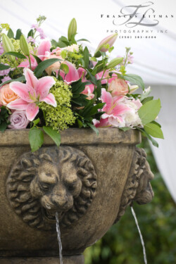 Event Decor & Ambience svg+xml,%3Csvg%20xmlns%3D%22http%3A%2F%2Fwww.w3 - Event Decor & Ambience