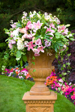 Event Decor & Ambience svg+xml,%3Csvg%20xmlns%3D%22http%3A%2F%2Fwww.w3 - Event Decor & Ambience