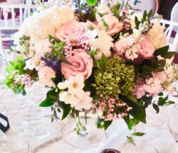 Event Decor & Ambience svg+xml,%3Csvg%20xmlns%3D%22http%3A%2F%2Fwww.w3 - Event Decor & Ambience