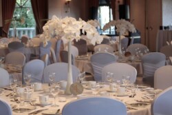 Event Decor & Ambience svg+xml,%3Csvg%20xmlns%3D%22http%3A%2F%2Fwww.w3 - Event Decor & Ambience