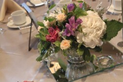 Event Decor & Ambience svg+xml,%3Csvg%20xmlns%3D%22http%3A%2F%2Fwww.w3 - Event Decor & Ambience