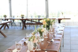 Event Decor & Ambience svg+xml,%3Csvg%20xmlns%3D%22http%3A%2F%2Fwww.w3 - Event Decor & Ambience