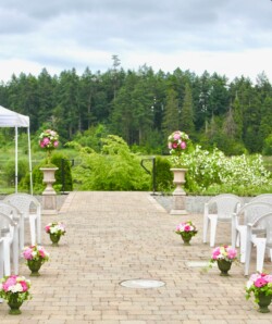 Event Decor & Ambience svg+xml,%3Csvg%20xmlns%3D%22http%3A%2F%2Fwww.w3 - Event Decor & Ambience