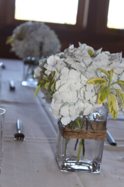 Event Decor & Ambience svg+xml,%3Csvg%20xmlns%3D%22http%3A%2F%2Fwww.w3 - Event Decor & Ambience