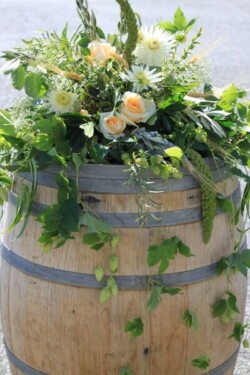 Event Decor & Ambience svg+xml,%3Csvg%20xmlns%3D%22http%3A%2F%2Fwww.w3 - Event Decor & Ambience