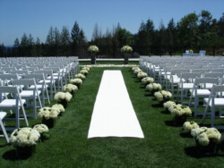 Event Decor & Ambience svg+xml,%3Csvg%20xmlns%3D%22http%3A%2F%2Fwww.w3 - Event Decor & Ambience