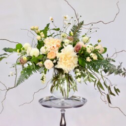 Event Decor & Ambience svg+xml,%3Csvg%20xmlns%3D%22http%3A%2F%2Fwww.w3 - Event Decor & Ambience