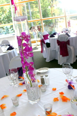 Event Decor & Ambience svg+xml,%3Csvg%20xmlns%3D%22http%3A%2F%2Fwww.w3 - Event Decor & Ambience