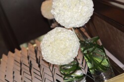 Event Decor & Ambience svg+xml,%3Csvg%20xmlns%3D%22http%3A%2F%2Fwww.w3 - Event Decor & Ambience