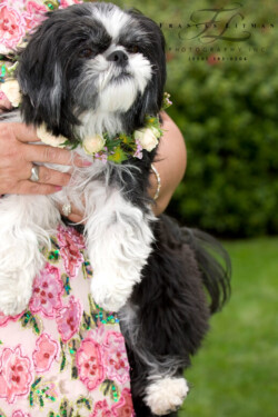 Event Decor & Ambience svg+xml,%3Csvg%20xmlns%3D%22http%3A%2F%2Fwww.w3 - Event Decor & Ambience